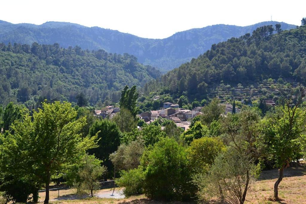 Appartamento Cosy Provencal Belgentier Esterno foto